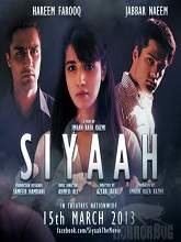 Siyaah (2013) DVDRip Urdu Full Movie Watch Online Free